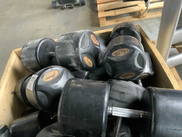 Lifemaxx dumbbell set 1100kg 40 t/m 60kg krachtstation - afbeelding 2 van  3