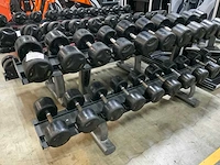 Lifemaxx dumbells met matrix rek krachtstation