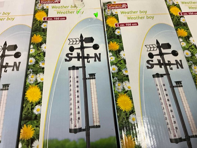 Lifetime garden weather boy (12x) - afbeelding 3 van  4