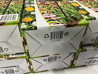 Lifetime garden weather boy (12x) - afbeelding 4 van  4