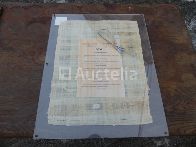 Lijst met gecertificeerd papyrus - afbeelding 3 van  3