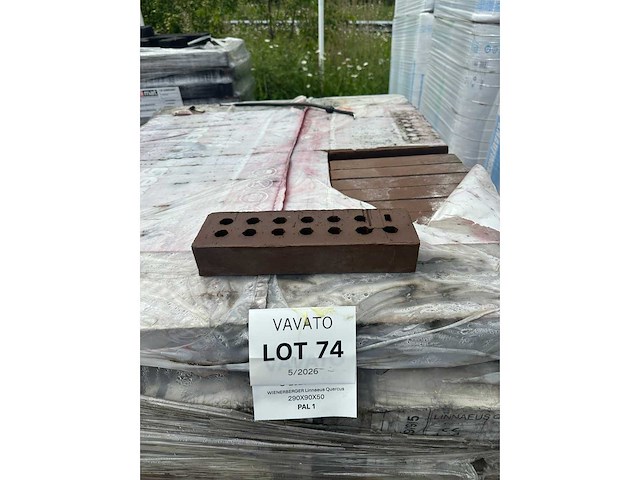 Limmaeus querus 290x90x50 1 pal +/- 408st - afbeelding 1 van  2