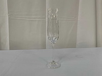 Linea champagneglas (50x)