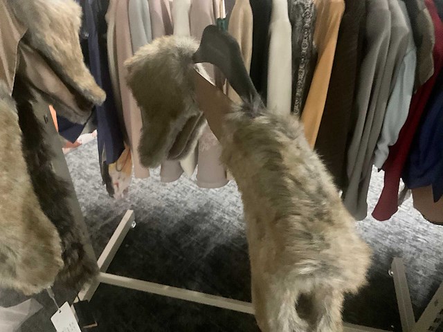 Linea raffaelli fashion bolero’s (5x) - afbeelding 3 van  9