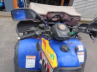Linhai atn300 quad - afbeelding 9 van  11