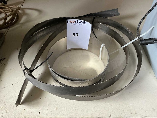 Lintzaagblad - afbeelding 1 van  1