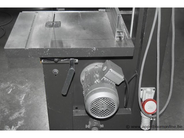 Lintzaagmachine acm joll 4000mm, bj 2017 - afbeelding 4 van  4
