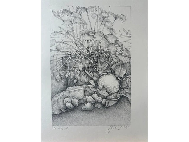 Litho j. kooten 4/50 1991 - afbeelding 1 van  1