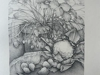 Litho j. kooten 4/50 1991