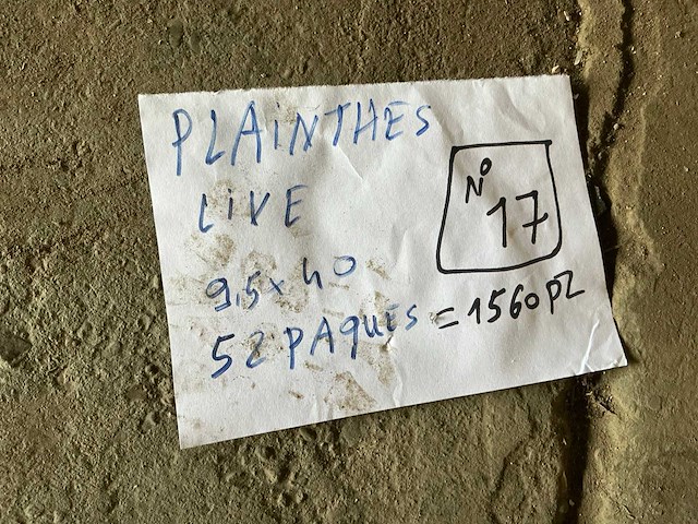 Live plint (1560x) - afbeelding 5 van  5