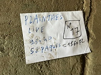 Live plint (1560x) - afbeelding 5 van  5