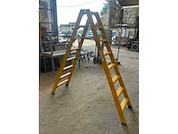 Lm dtrg 8 polyester trapladder - afbeelding 3 van  5