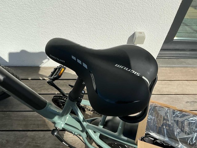 Lombardo aurelia y line e-bike - afbeelding 10 van  18