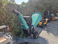 Longcin - 2019 - houthakselaar - afbeelding 1 van  6