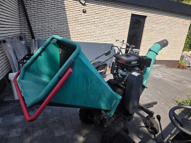 Longcin - 2019 - houthakselaar - afbeelding 3 van  6