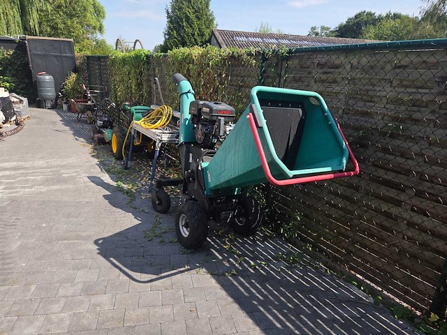Longcin - 2019 - houthakselaar - afbeelding 5 van  6