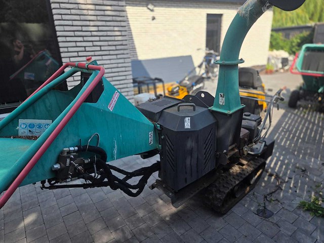 Longin - 2019 - houthakselaar - afbeelding 5 van  9