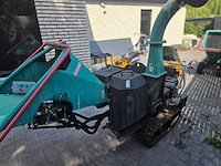 Longin - 2019 - houthakselaar - afbeelding 5 van  9