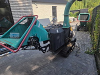Longin - 2019 - houthakselaar - afbeelding 8 van  9