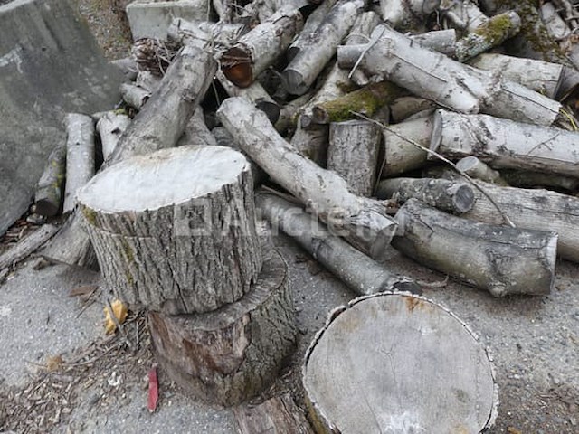 Losjes brandhout (+/-10 m³) - afbeelding 2 van  6