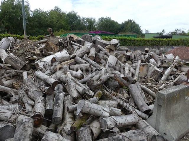 Losjes brandhout (+/-10 m³) - afbeelding 4 van  6