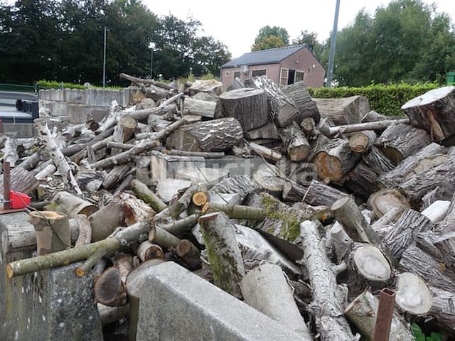 Losjes brandhout (+/-10 m³) - afbeelding 5 van  6