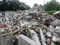 Losjes brandhout (+/-10 m³) - afbeelding 5 van  6