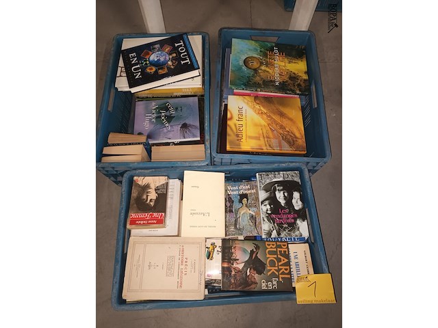 Lot 1 - franstalige boeken. 3 bakken - afbeelding 1 van  5