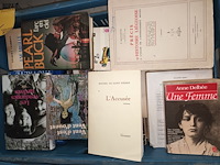 Lot 1 - franstalige boeken. 3 bakken - afbeelding 3 van  5