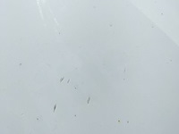 Lot 1 - opel astra (2014-chass.w0lpc6ew1eg010023) - afbeelding 11 van  33