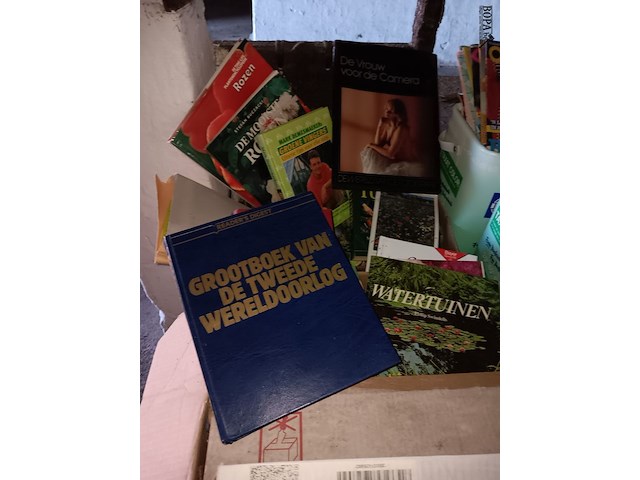 Lot 10 - diverse boeken - afbeelding 2 van  4