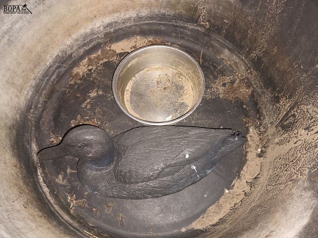 Lot 10 - diversen. 3 stuks - afbeelding 3 van  3