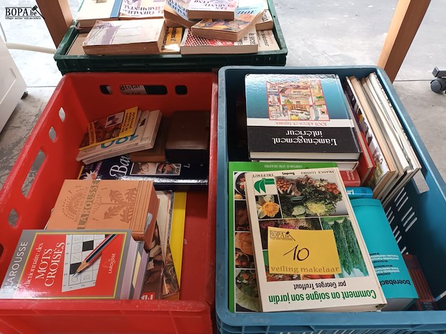 Lot 10 - franstalige boeken - afbeelding 1 van  4