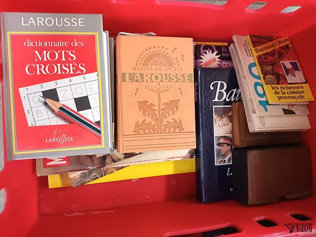 Lot 10 - franstalige boeken - afbeelding 2 van  4