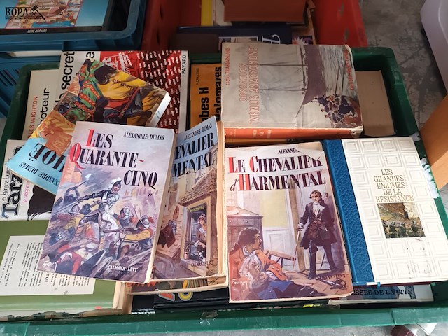 Lot 10 - franstalige boeken - afbeelding 4 van  4