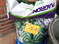 Lot 101 - tuinmateriaal en emmers - afbeelding 4 van  4