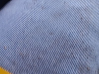 Lot 103 - lot stoffen - afbeelding 3 van  3