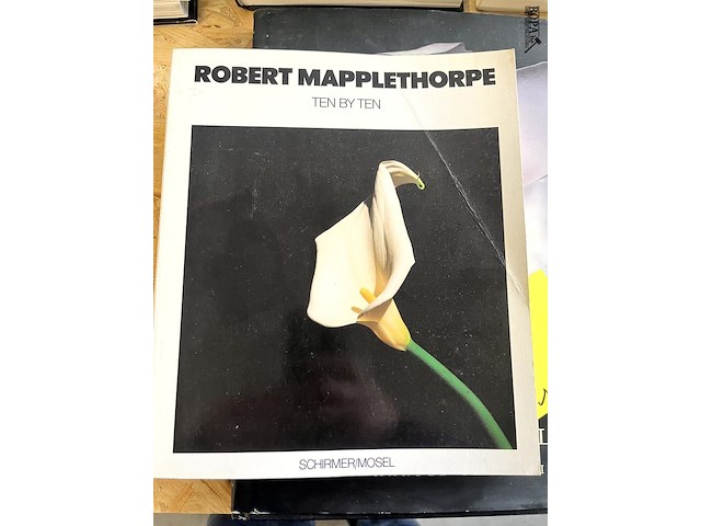 Lot 104 - schilderijen echt -fraude-vals moderne onderzoekkingsmethode - afbeelding 1 van  6