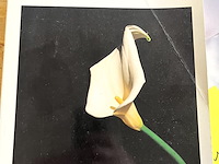 Lot 104 - schilderijen echt -fraude-vals moderne onderzoekkingsmethode - afbeelding 1 van  6