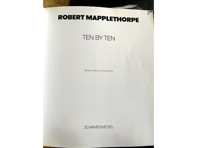 Lot 104 - schilderijen echt -fraude-vals moderne onderzoekkingsmethode - afbeelding 2 van  6