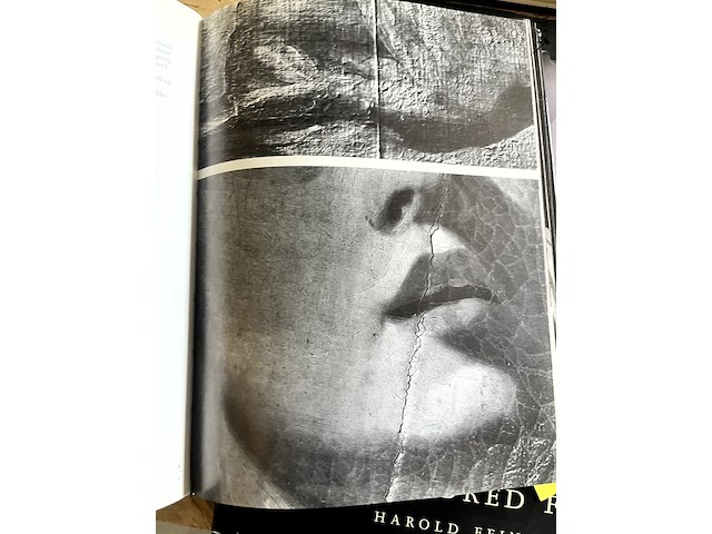 Lot 105 - robert mapplethorpe - afbeelding 4 van  7
