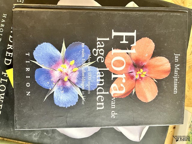 Lot 106 - flora van de lage landen 1300 soorten en 1700 afbeeldingen - afbeelding 1 van  7