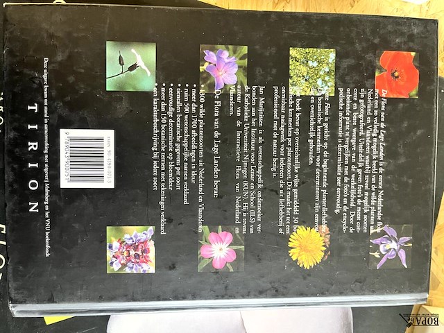 Lot 106 - flora van de lage landen 1300 soorten en 1700 afbeeldingen - afbeelding 7 van  7