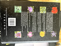 Lot 106 - flora van de lage landen 1300 soorten en 1700 afbeeldingen - afbeelding 7 van  7