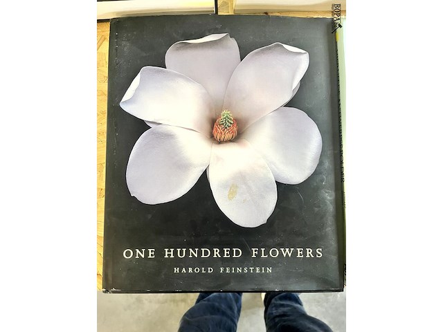 Lot 108 - one hundred flowers by harold feinstein - afbeelding 1 van  6
