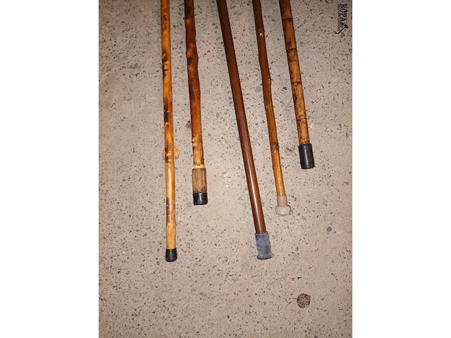 Lot 109 - wandelstokken. 5 stuks - afbeelding 3 van  4