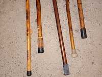 Lot 109 - wandelstokken. 5 stuks - afbeelding 3 van  4