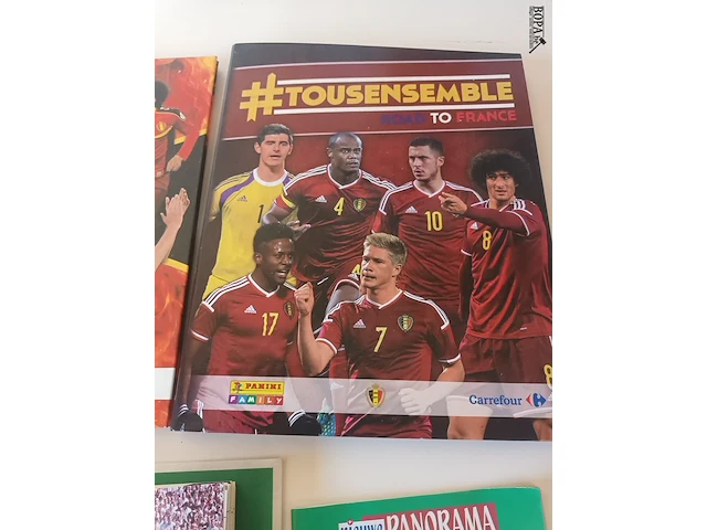 Lot 11 - boeken voetbal en panini. 5 stuks - afbeelding 2 van  8