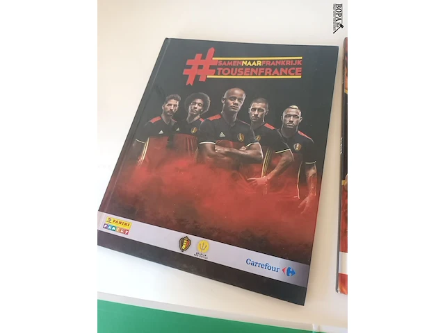 Lot 11 - boeken voetbal en panini. 5 stuks - afbeelding 4 van  8