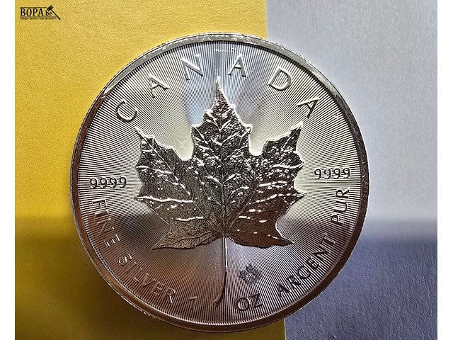 Lot 11 - canada maple zilveren munten (2022) (2 stuks) - afbeelding 1 van  4